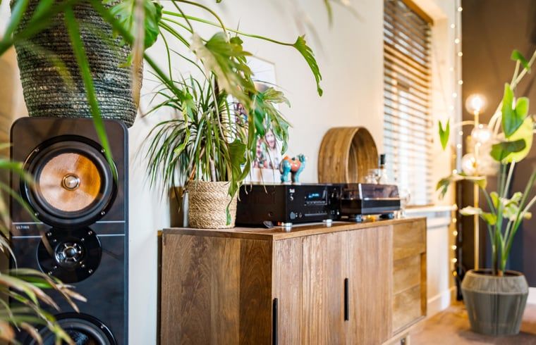 Gezellige hoek in Vakantiehuis in Diepenveen met houten kast en groene planten, perfect voor ontspanning.