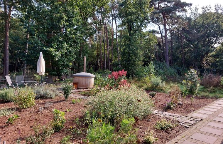 Outdoor terrace of Holiday Home in Ommen, Vechtstreek, Overijssel, with hot tub.