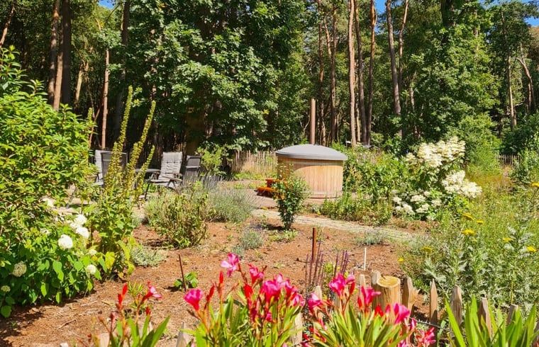Garden of Holiday Home in Ommen, Vechtstreek, Overijssel, with colorful flowers and hot tub.