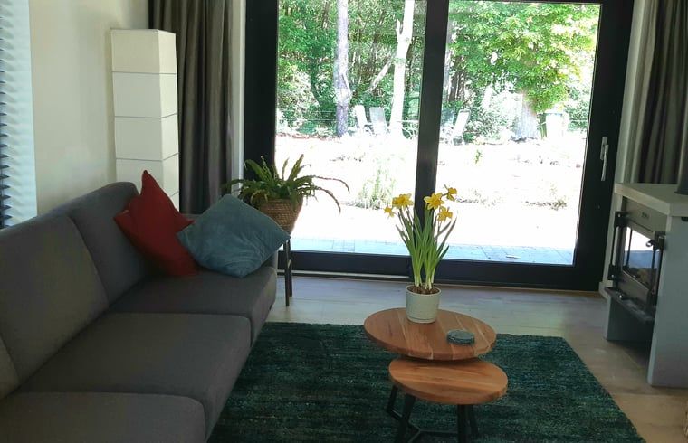 Comfortable sitting area in Holiday home in Ommen, Vechtstreek, Overijssel, with lots of light.