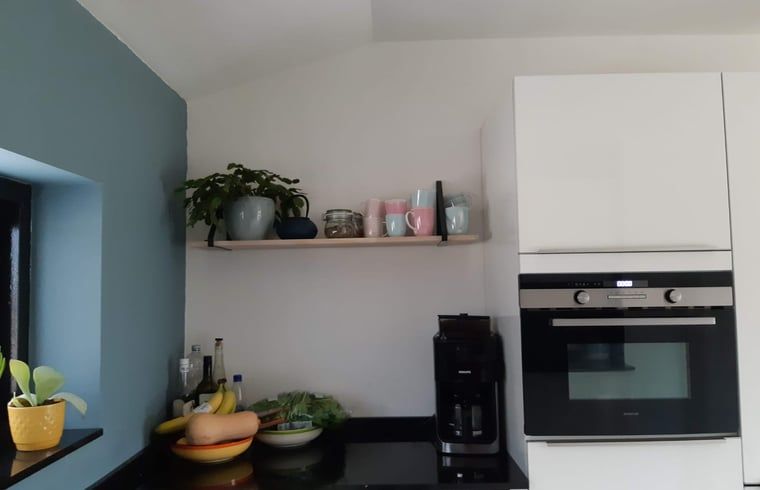 Kitchen in Holiday Home in Ommen, Vechtstreek, Overijssel, with modern appliances.