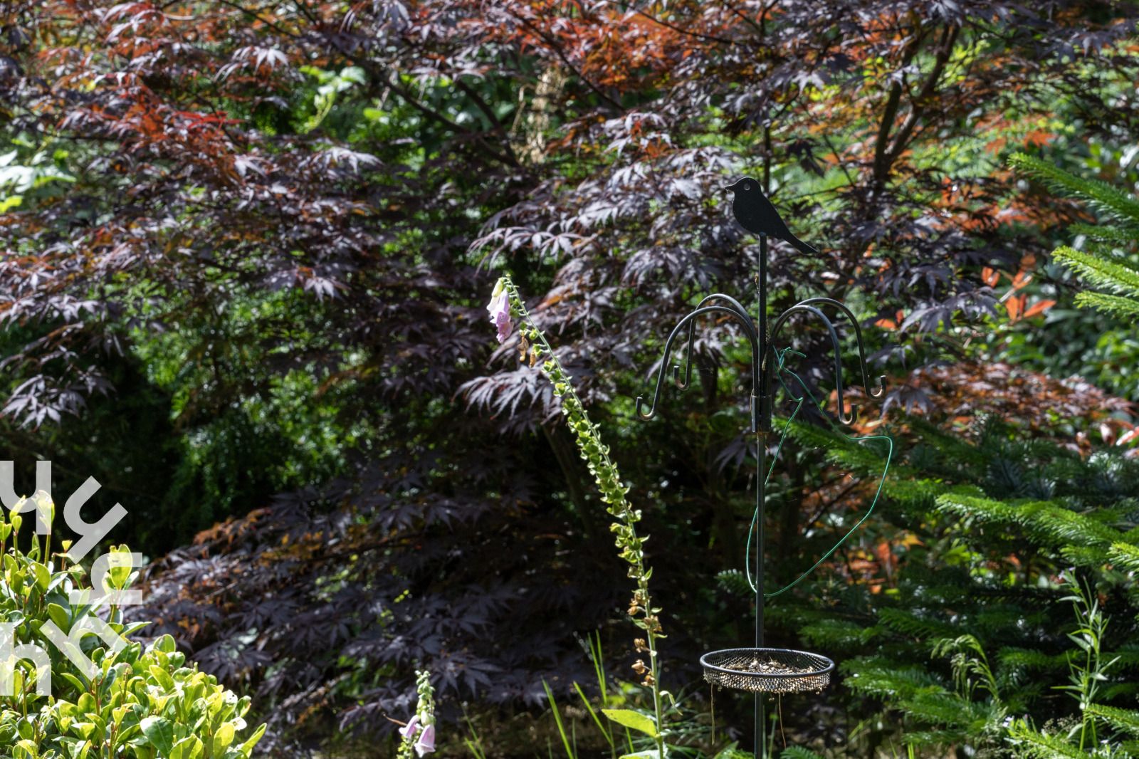Luchtfoto van omgeving vakantiehuis OV224 in Ommen, Vechtstreek, Overijssel.