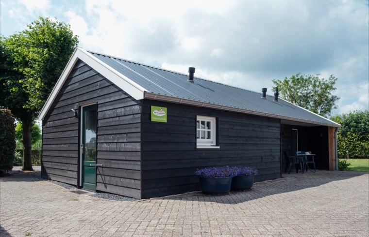 Aussenansicht des Ferienhauses in Ommen in der Region Vechta.