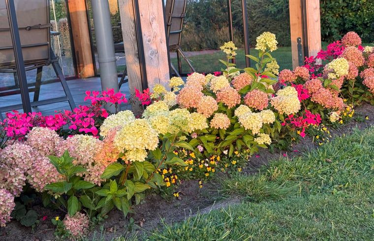 Bunte Blumen am Ferienhaus in Ommen, Overijssel.
