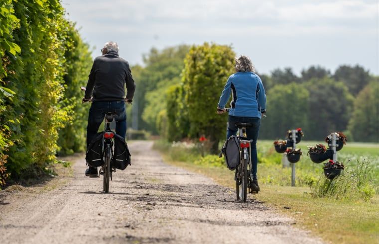Radfahren in der Natur rund um das Ferienhaus in Ommen, Region Vechta.