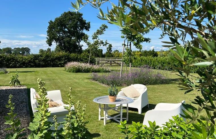 Geniet van de serene tuin van Vakantiehuis in Ommen, een prachtige vakantiewoning in de groene Vechtstreek, Overijssel.