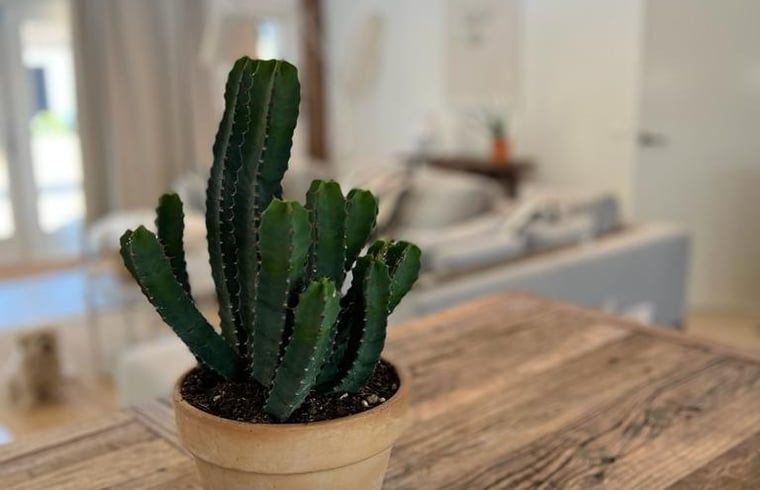 Verblijf 540116 - Vakantiewoning Vechtstreek - Vakantiehuis in Ommen