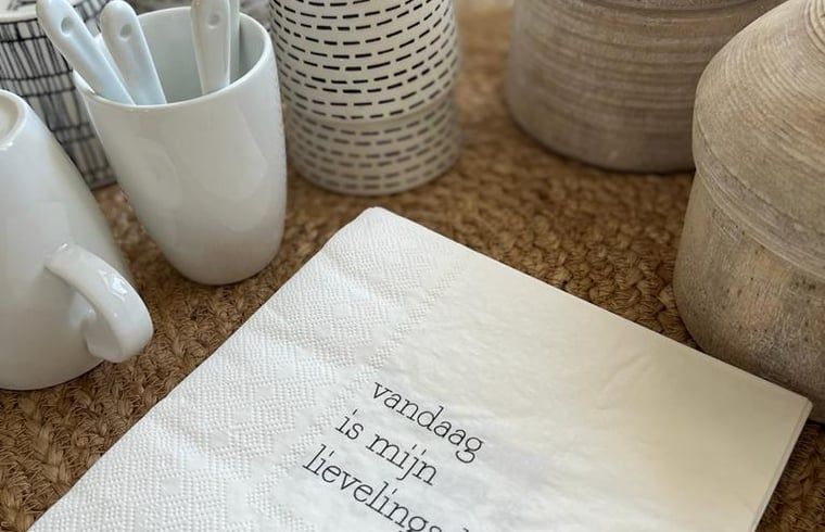 Verblijf 540116 - Vakantiewoning Vechtstreek - Vakantiehuis in Ommen