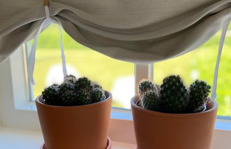 Verblijf 540116 - Vakantiewoning Vechtstreek - Vakantiehuis in Ommen