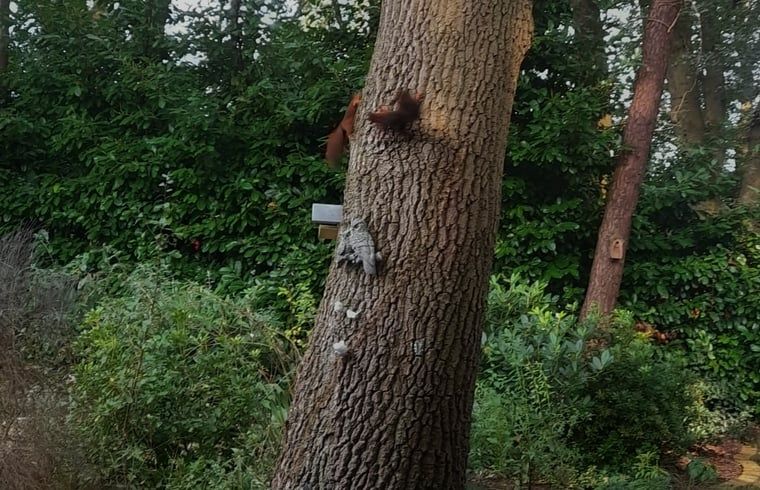 Unterkunft 540123 - Ferienhaus Vechtstreek - Vakantiehuisje in Ommen