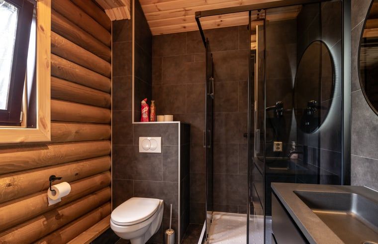 Moderne badkamer in Vakantiehuis in Ommen, voorzien van luxe faciliteiten in de Vechtstreek, Overijssel.