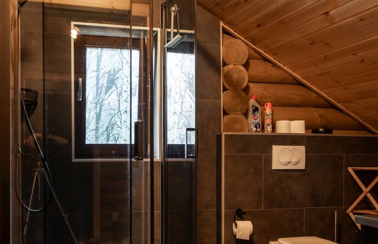 Moderne douche in Vakantiehuis in Ommen, een stijlvol verblijf in de Vechtstreek, Overijssel.