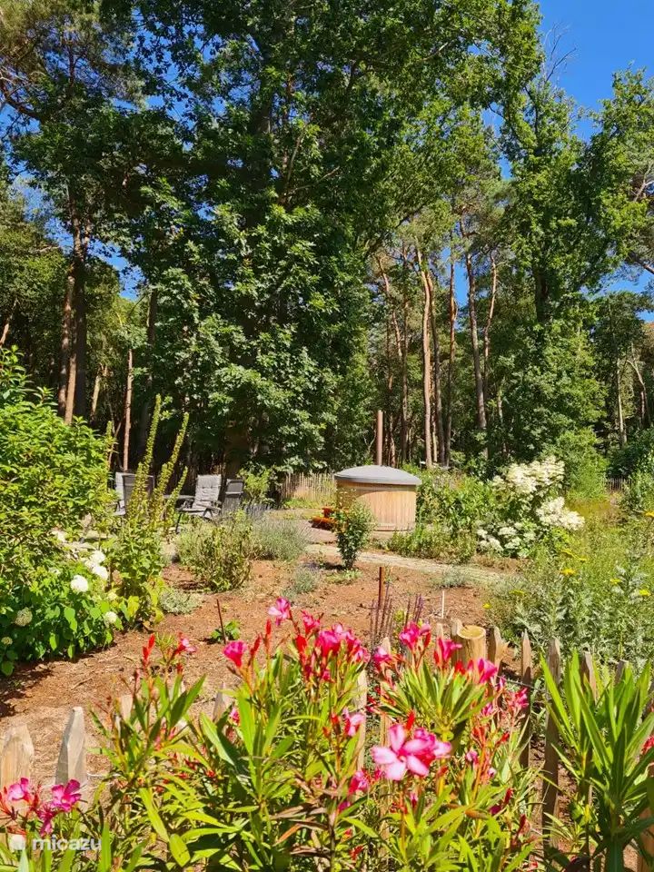 Verblijf 540173 - Vakantiewoning Vechtstreek - Vakantiehuis Ommen