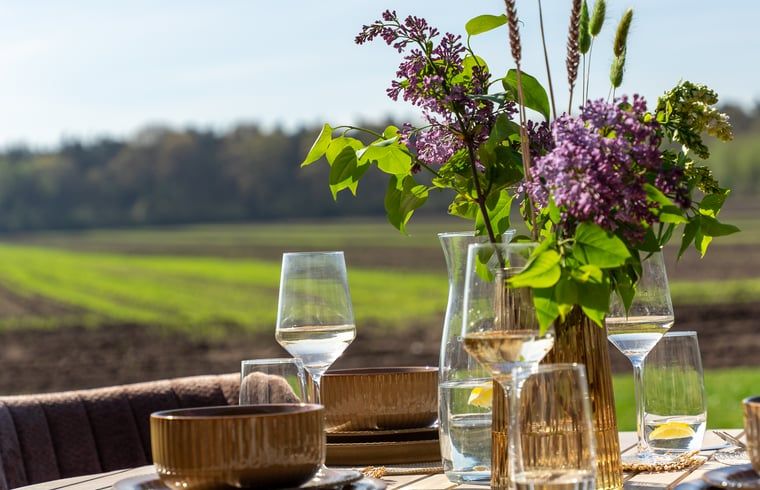 Unterkunft 540177 - Ferienhaus Vechtstreek - Vakantiehuis in Ommen