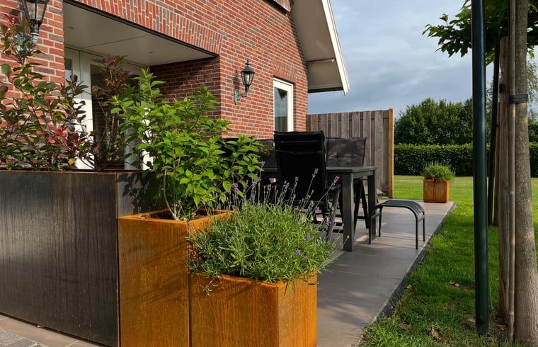 Das Ferienhaus in Beerze, Overijssel, bietet eine Terrasse mit Pflanzgefaessen und einem gemuetlichen Sitzbereich zum Entspannen.