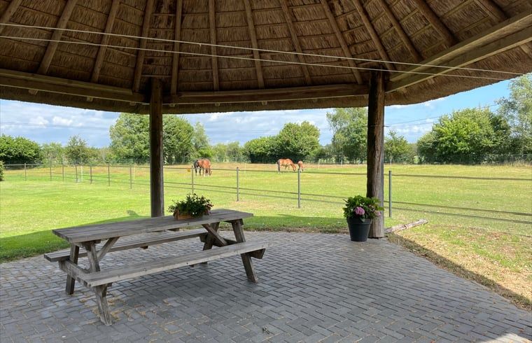 Ueberdachte Sitzecke im Ferienhaus in Beerze, Ferienhaus in Vechtstreek, Overijssel mit Blick auf Pferdeweiden.