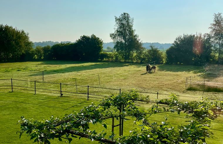 Blick auf gruene Felder vom Ferienhaus in Beerze, Region Vecht, Overijssel mit grasenden Pferden.