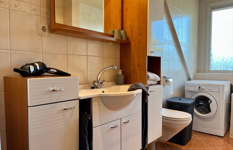 Modernes Badezimmer im Ferienhaus in Beerze, Overijssel, mit Waschmaschine und stilvoller Einrichtung.