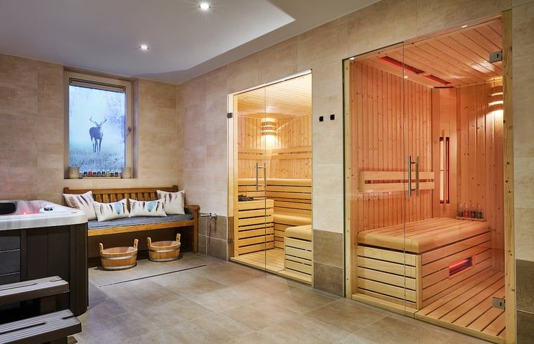 Wellnessbereich im Ferienhaus in Beerze, Overijssel, mit Sauna und Jacuzzi zur Entspannung.