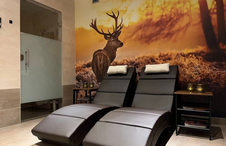 Entspannungsbereich im Ferienhaus in Beerze, Overijssel, mit bequemen Liegen und stimmungsvoller Dekoration.