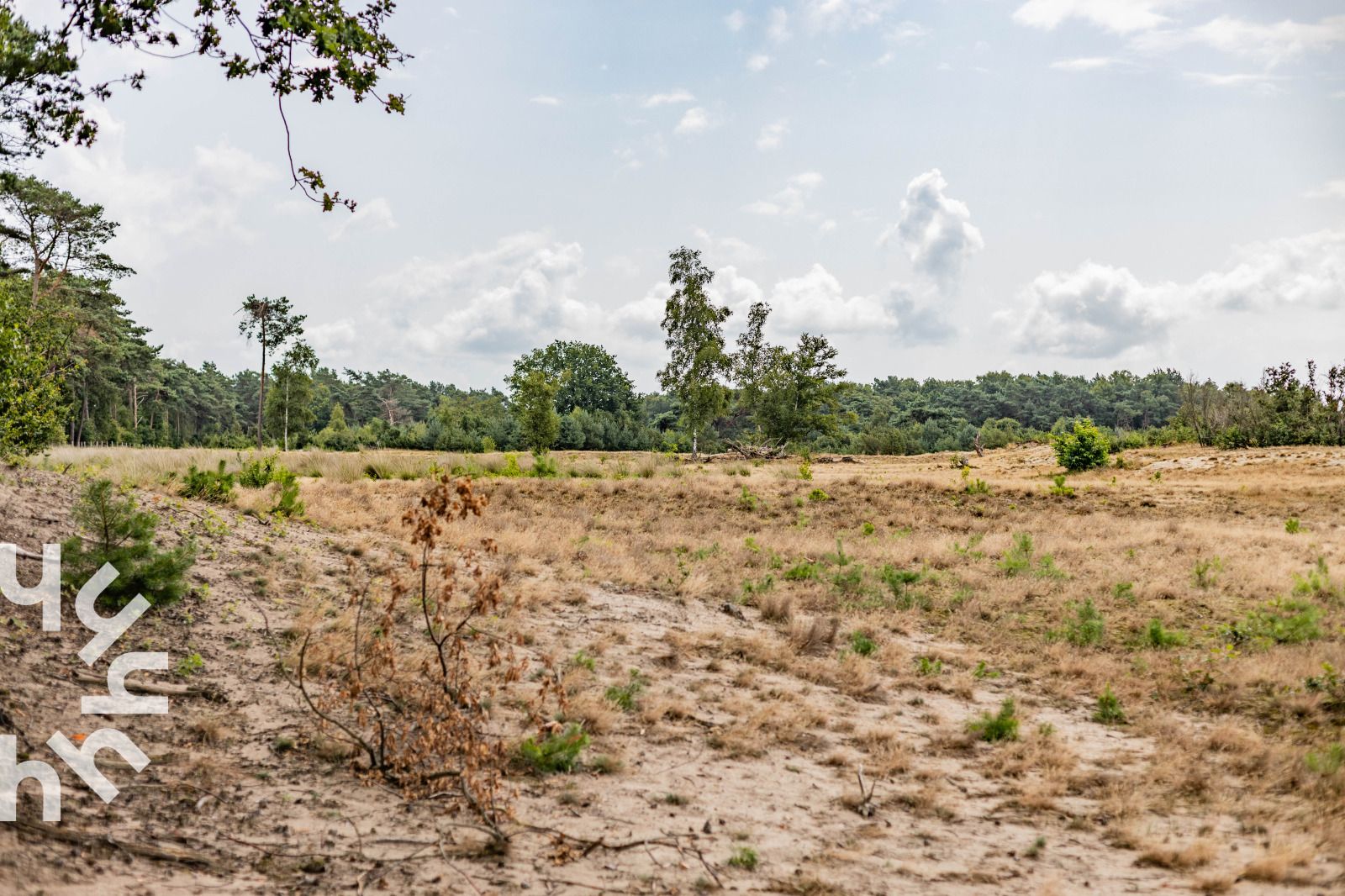 Unterkunft 540209 - Ferienhaus Vechtstreek - OV260