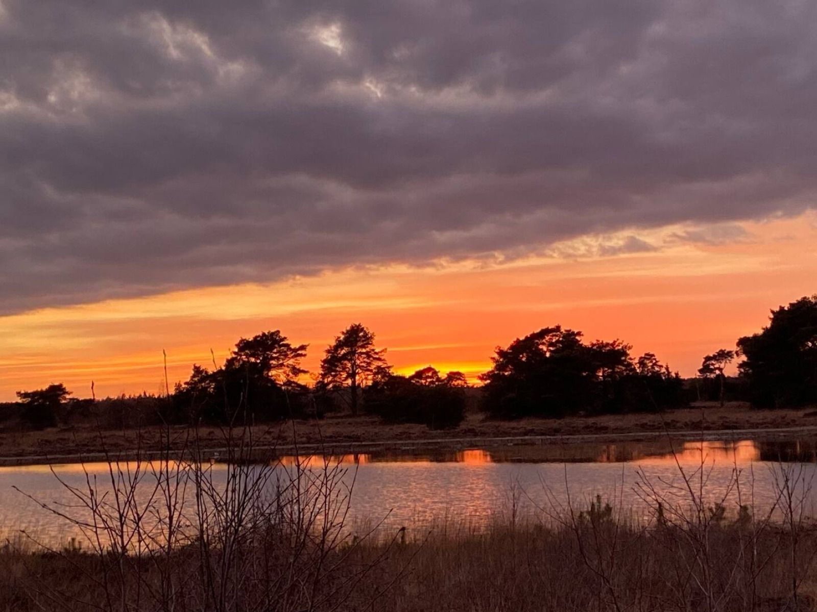 Verblijf 540219 - Vakantiewoning Vechtstreek - OV703