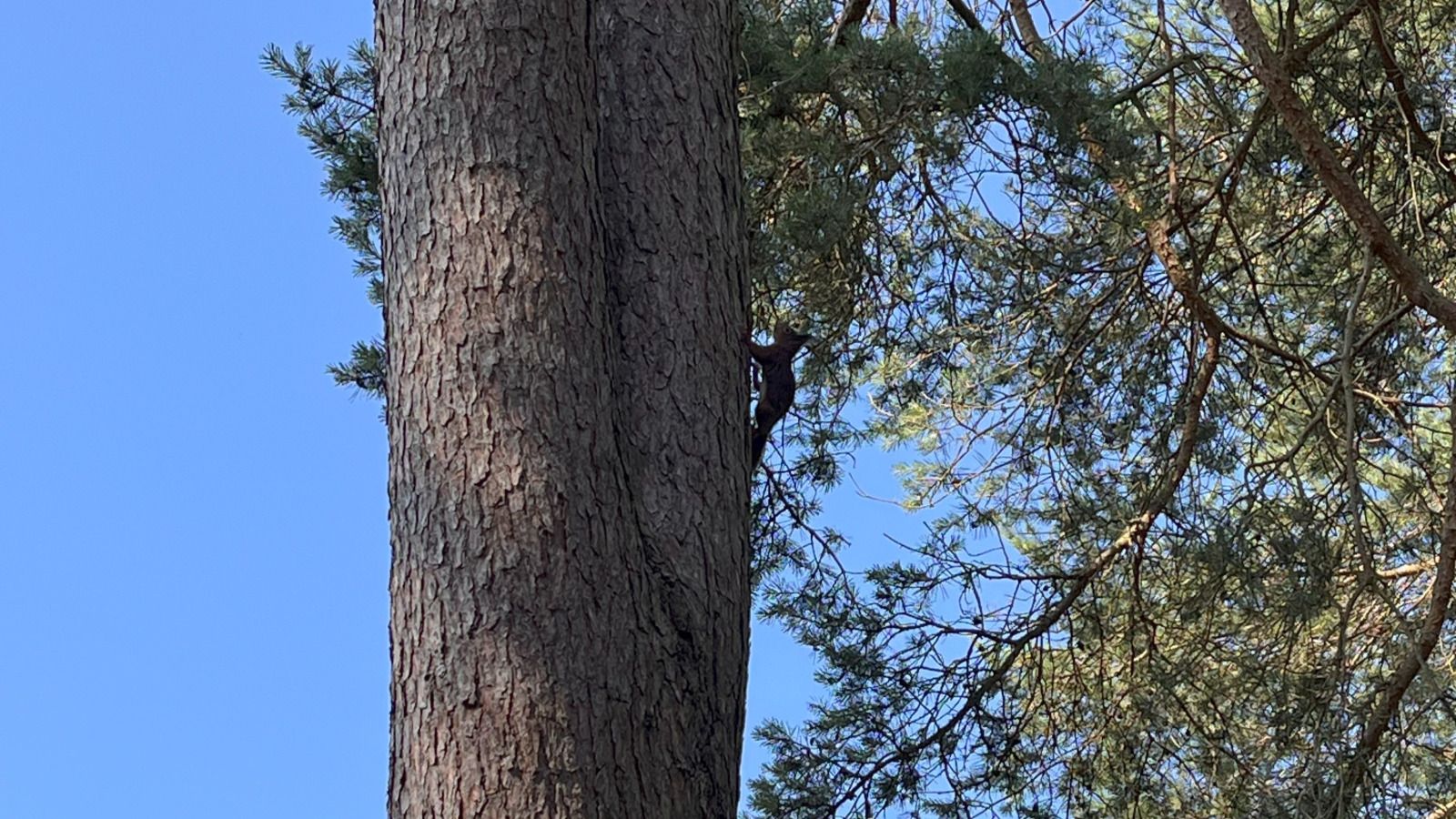 Verblijf 540219 - Vakantiewoning Vechtstreek - OV703