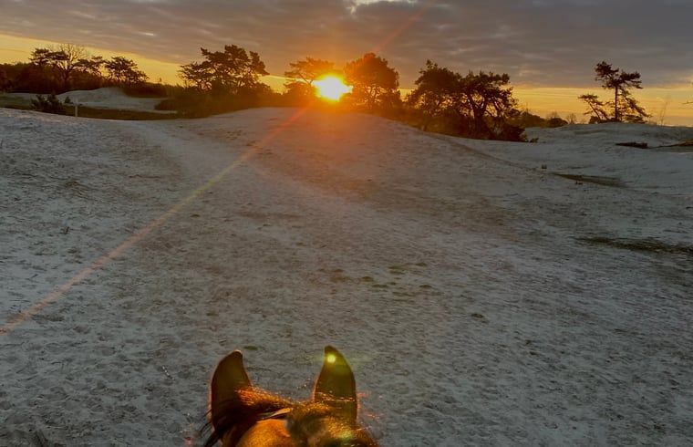 Sonnenuntergang bei einem Ausritt in den Duenen in der Naehe des Ferienhauses in Beerze, Overijssel