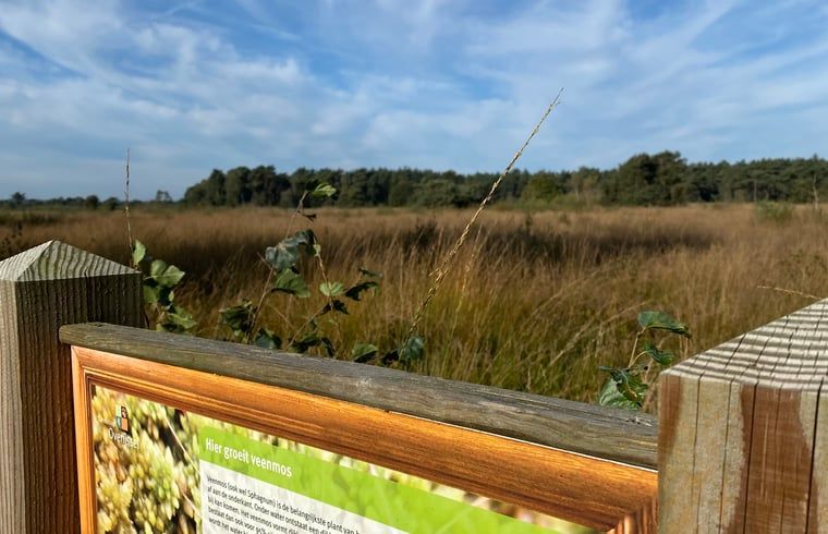 Informationsschild ueber Torfmoos im Naturschutzgebiet in der Naehe des Ferienhauses in Beerze, Overijssel