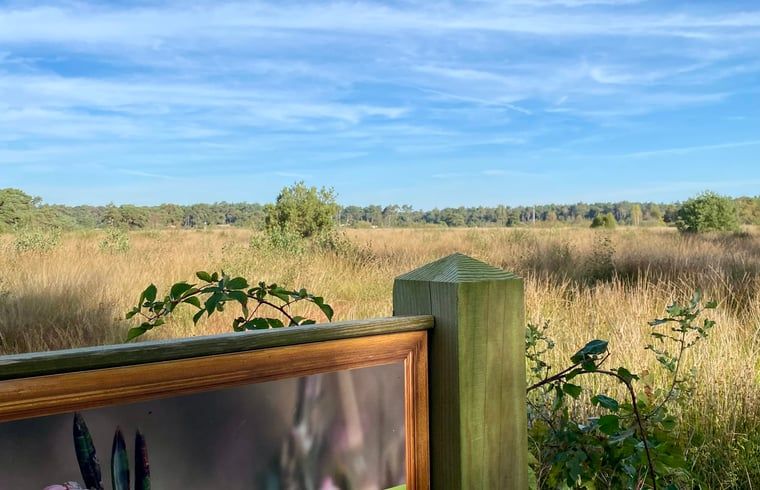 Blick ueber die Moorlandschaft im Ferienhaus in Beerze, Vechteland