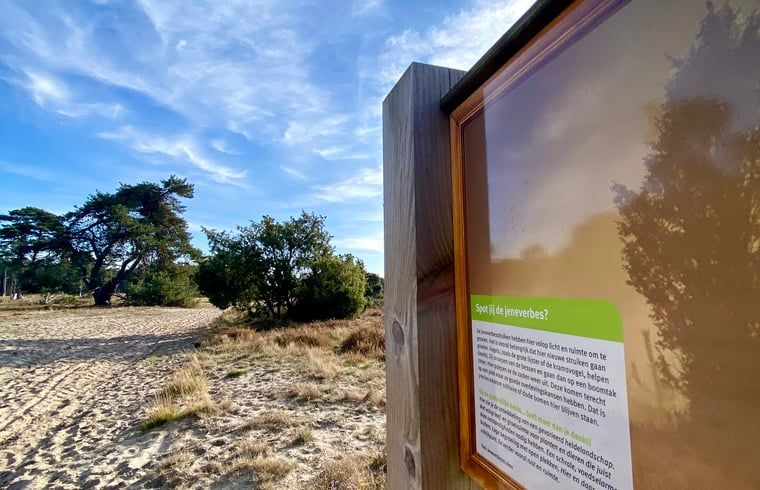 Sandweg durch Naturschutzgebiet bei Ferienhaus in Beerze, Vechtstreek