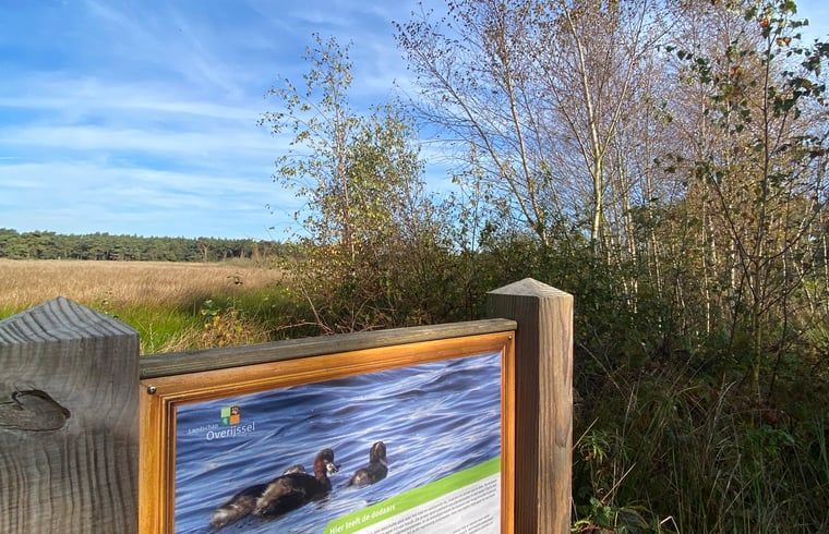 Naturschutzgebiet mit Informationen ueber Wasservoegel in der Naehe des Ferienhauses in Beerze, Overijssel