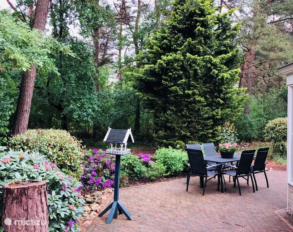 Unterkunft 540242 - Ferienhaus Vechtstreek - Huize Beerze