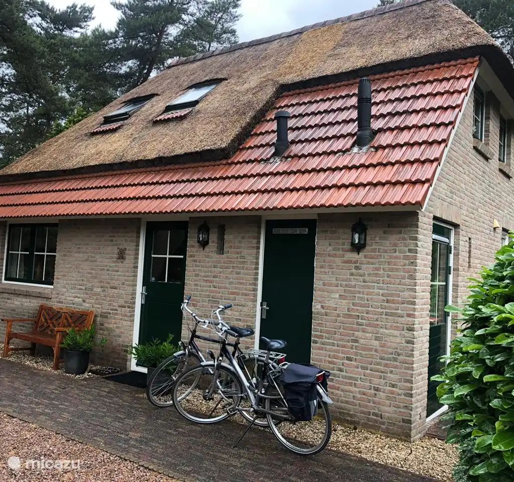 Unterkunft 540242 - Ferienhaus Vechtstreek - Huize Beerze