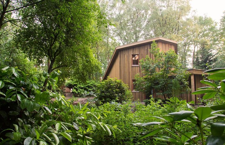Guest house 540504 - Holiday property Vechtstreek - Vakantiehuisje in Dalfsen
