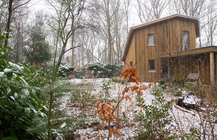 Guest house 540504 - Holiday property Vechtstreek - Vakantiehuisje in Dalfsen