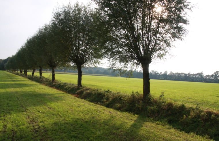 Guest house 540504 - Holiday property Vechtstreek - Vakantiehuisje in Dalfsen