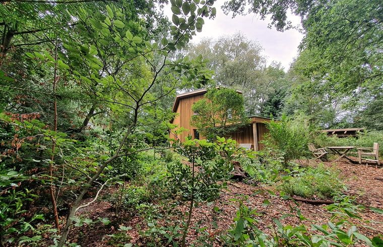 Guest house 540504 - Holiday property Vechtstreek - Vakantiehuisje in Dalfsen