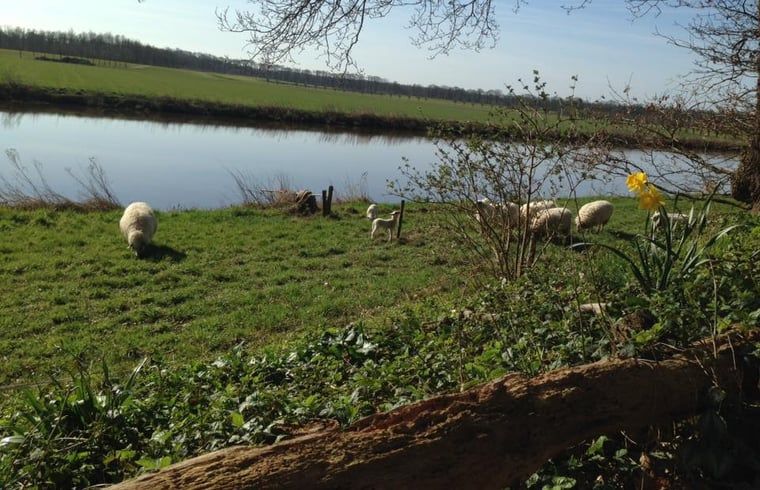 Verblijf 540520 - Vakantiewoning Vechtstreek - Huisje in Dalfsen
