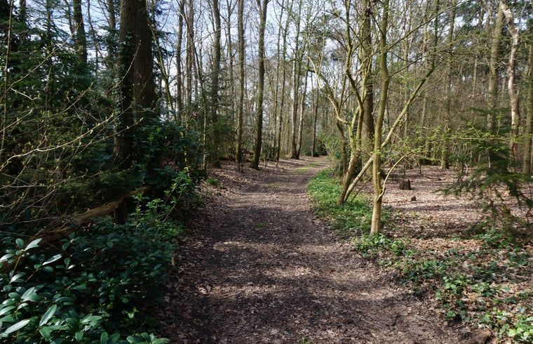 Verblijf 540520 - Vakantiewoning Vechtstreek - Huisje in Dalfsen
