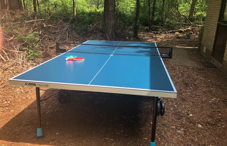 Tafeltennistafel bij Vakantiehuis in Dalfsen, sportieve ontspanning in de Vechtstreek, Overijssel.