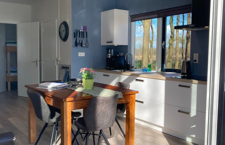 Modern kitchen in cottage in Dalfsen, Vecht region, Overijssel, with views of nature and lots of light.