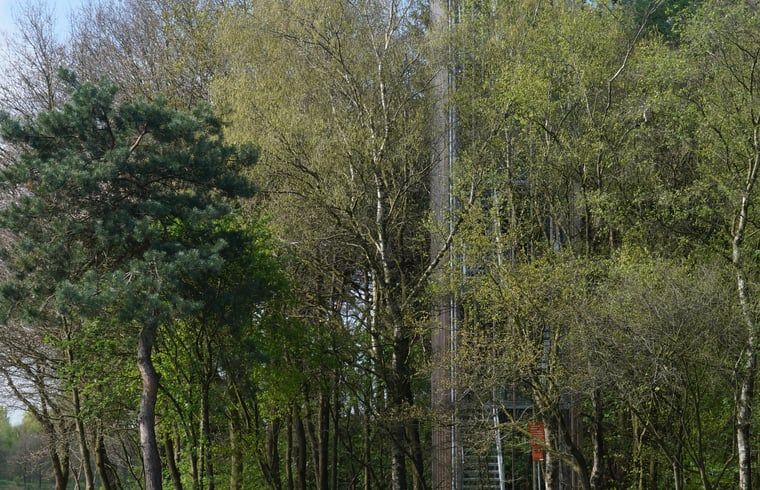 Guest house 540545 - Holiday property Vechtstreek - Vakantiehuisje in Dalfsen