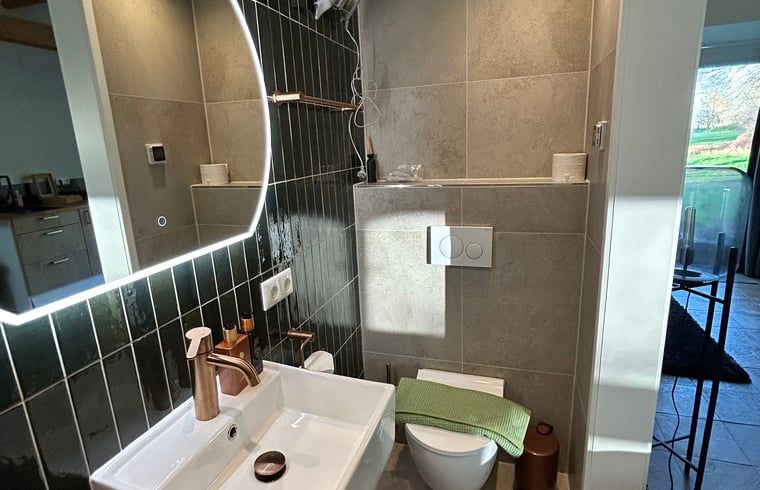 Unterkunft 540547 - Ferienhaus Vechtstreek - Huisje in Dalfsen