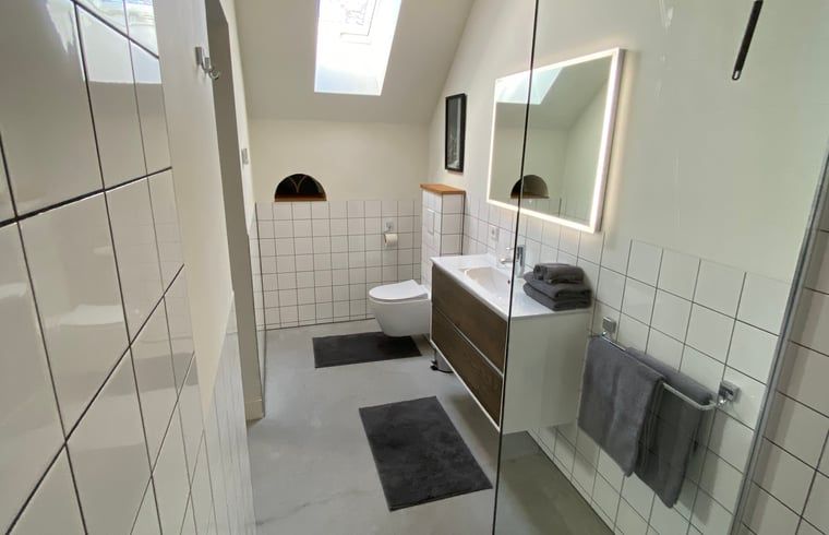 Geraeumiges Badezimmer mit moderner Ausstattung im Ferienhaus in Dalfsen.