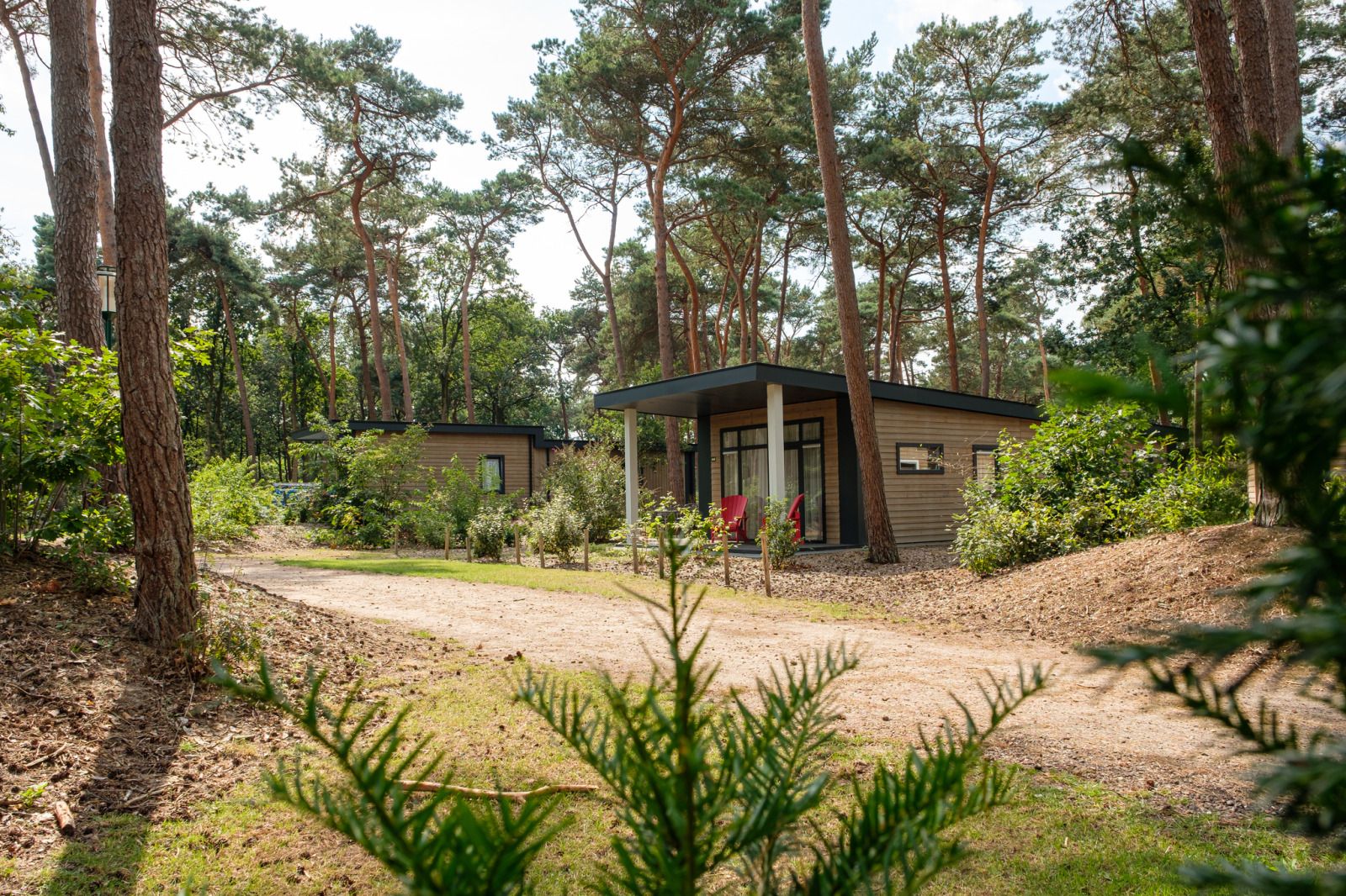 Verblijf 540617 - Vakantiewoning Vechtstreek - Bospark chalet