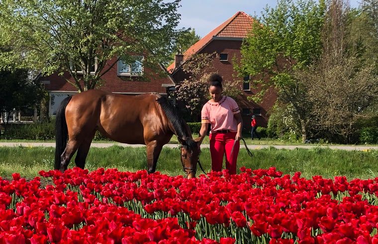 Unterkunft 540841 - Ferienhaus Vechtstreek - Huisje in Balkbrug