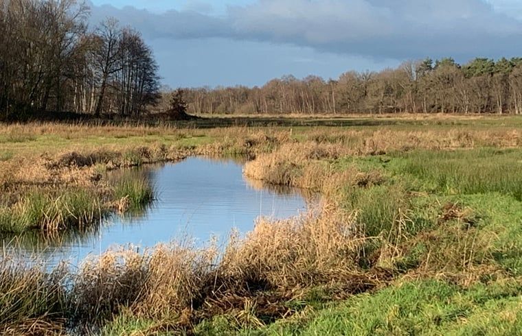 Unterkunft 540841 - Ferienhaus Vechtstreek - Huisje in Balkbrug
