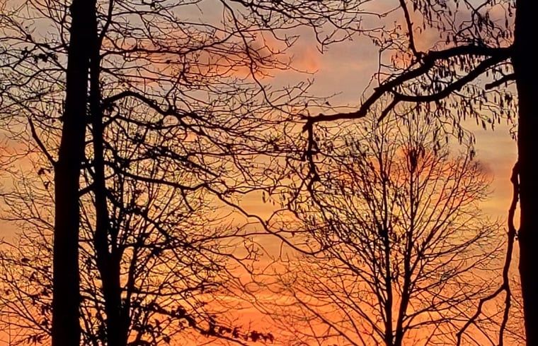 Unterkunft 540841 - Ferienhaus Vechtstreek - Huisje in Balkbrug