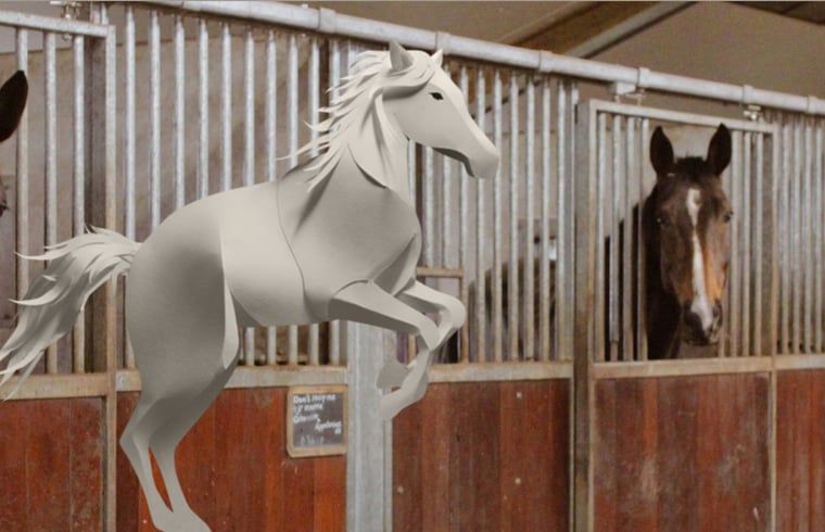 Unterkunft 540841 - Ferienhaus Vechtstreek - Huisje in Balkbrug